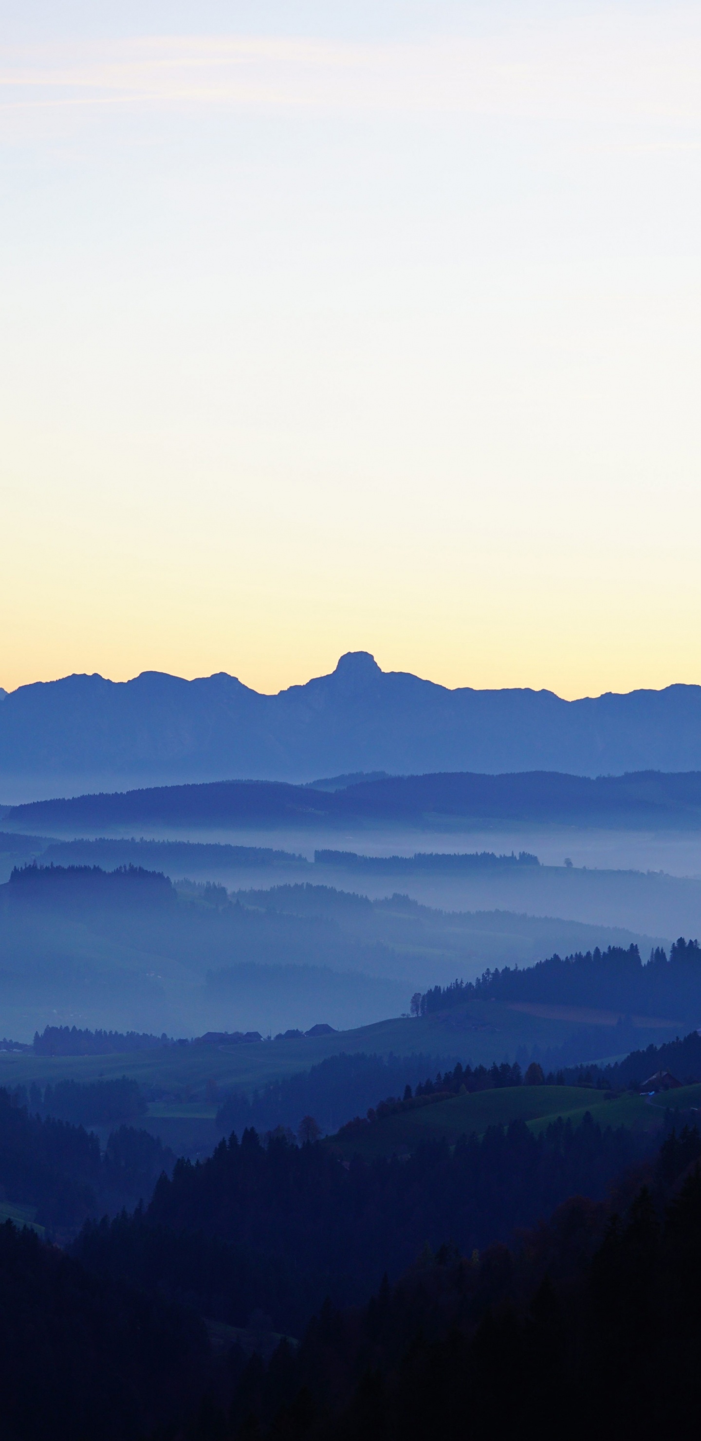 Árboles Verdes en la Montaña Durante el Día. Wallpaper in 1440x2960 Resolution