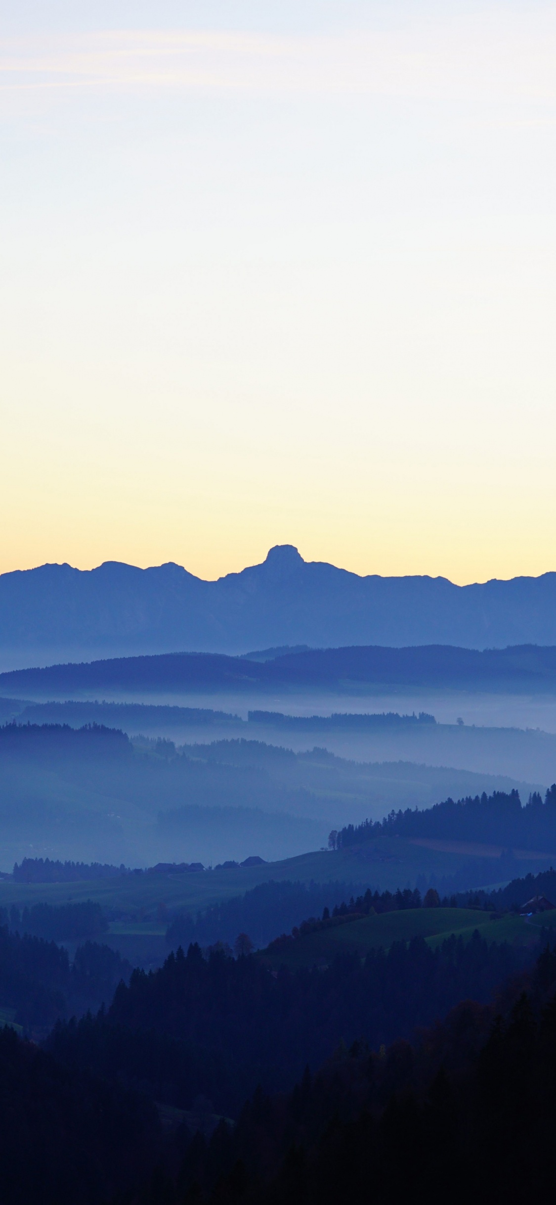Tagsüber Grüne Bäume Auf Dem Berg. Wallpaper in 1125x2436 Resolution