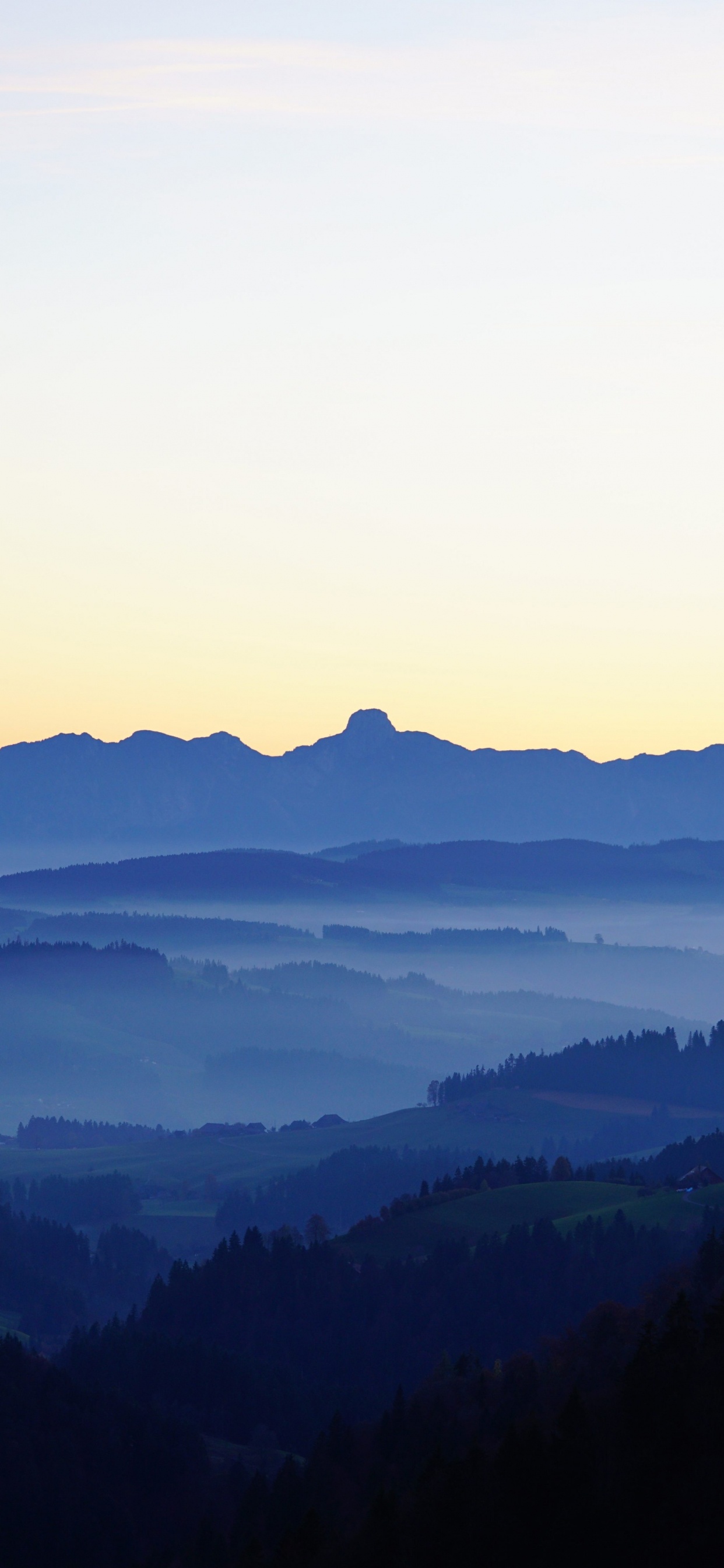 Tagsüber Grüne Bäume Auf Dem Berg. Wallpaper in 1242x2688 Resolution