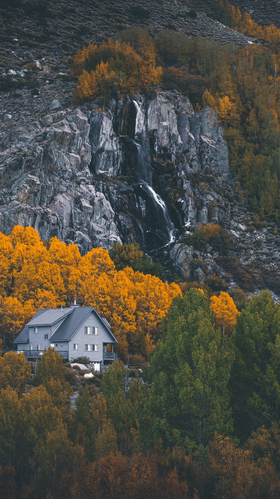 性质, 荒野, 自然景观, 反射, 生物群落 壁纸 1080x1920 允许