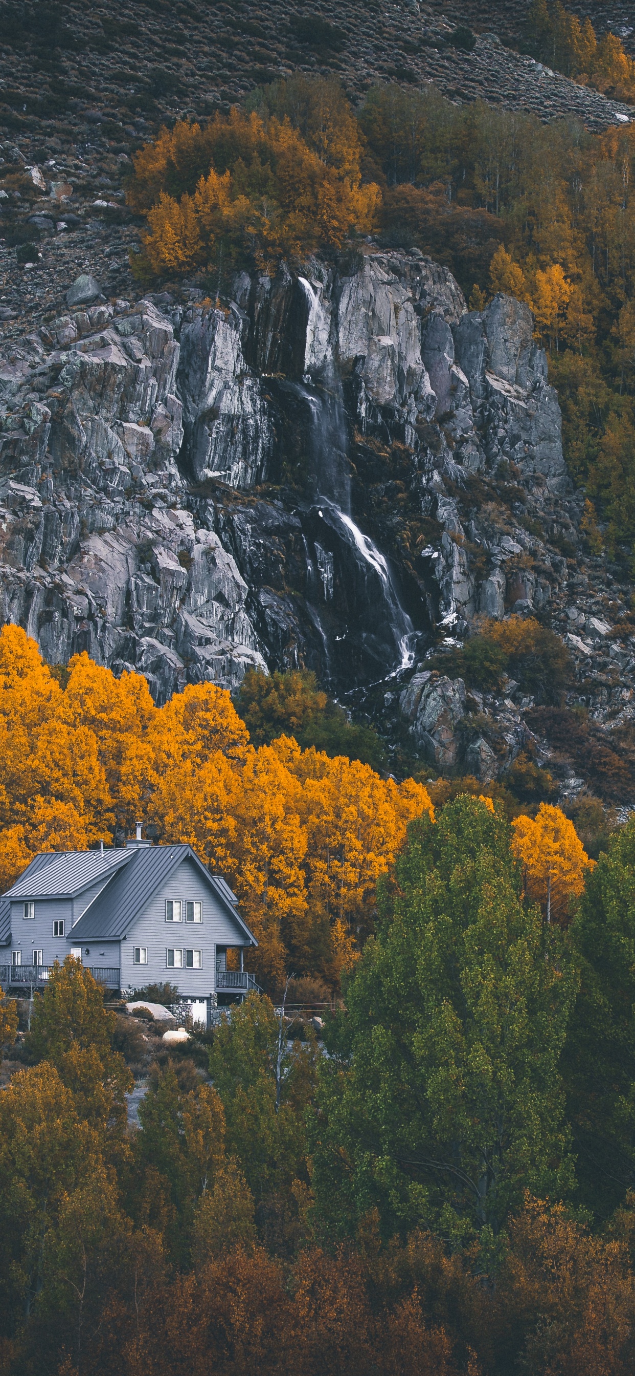 Nature, Feuille, Paysage Naturel, Réflexion, Biome. Wallpaper in 1242x2688 Resolution