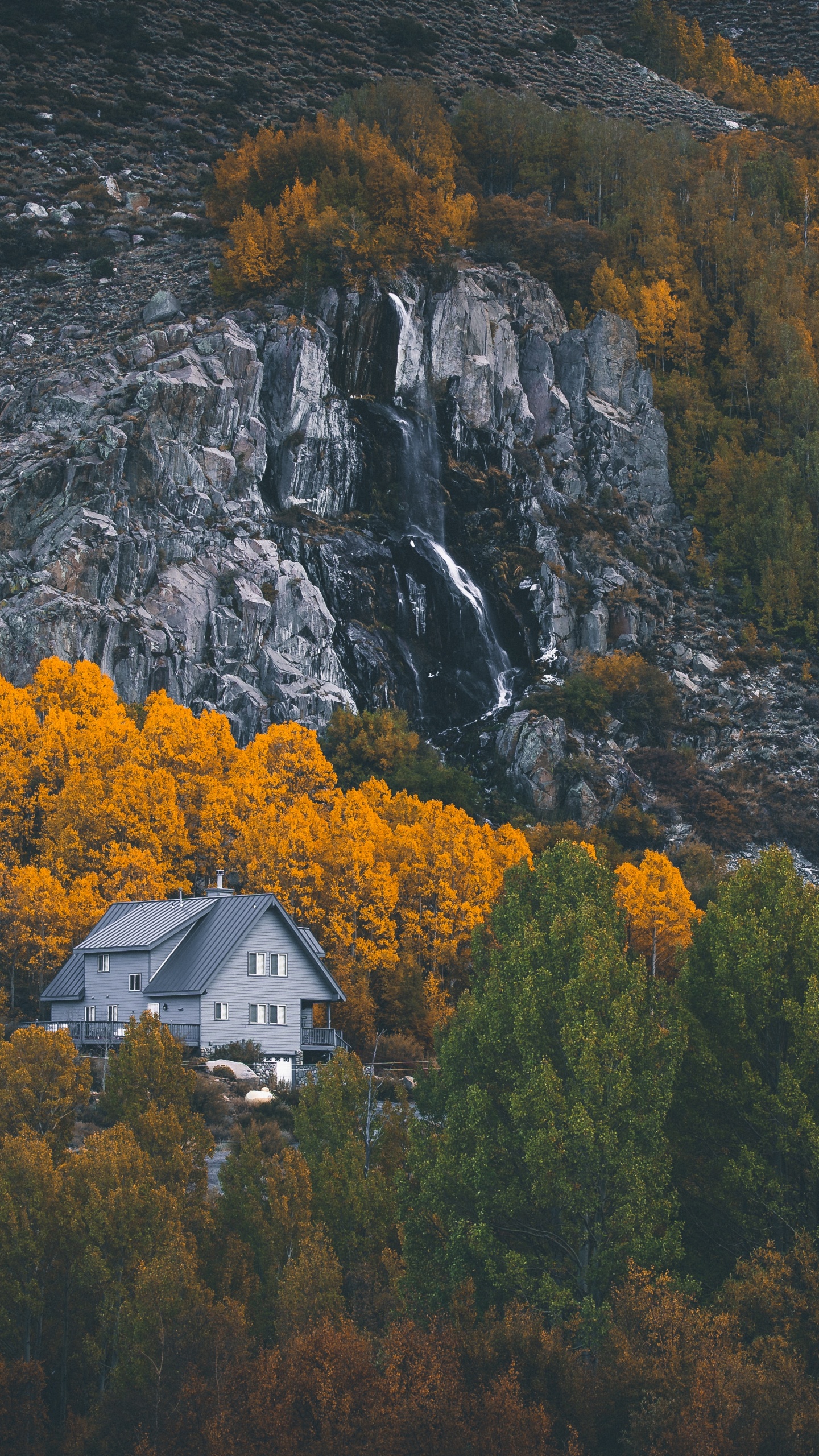 Nature, Feuille, Paysage Naturel, Réflexion, Biome. Wallpaper in 1440x2560 Resolution