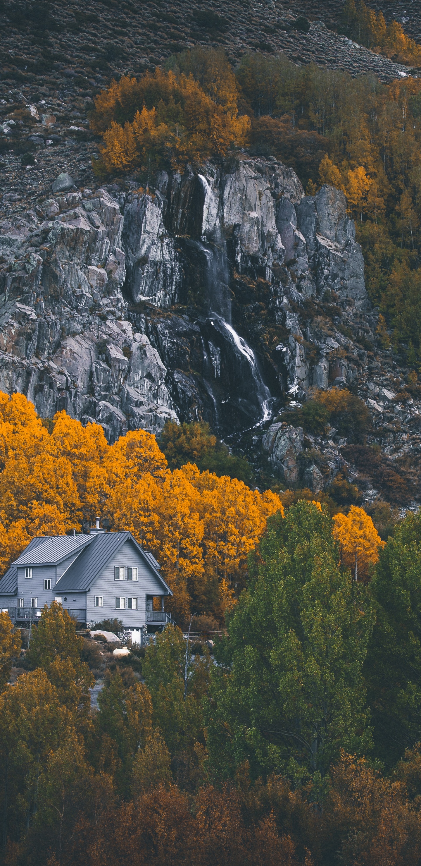 Nature, Feuille, Paysage Naturel, Réflexion, Biome. Wallpaper in 1440x2960 Resolution