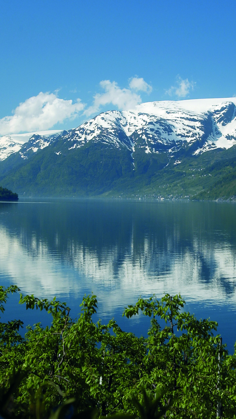 Green Trees Near Lake and Snow Covered Mountain During Daytime. Wallpaper in 750x1334 Resolution