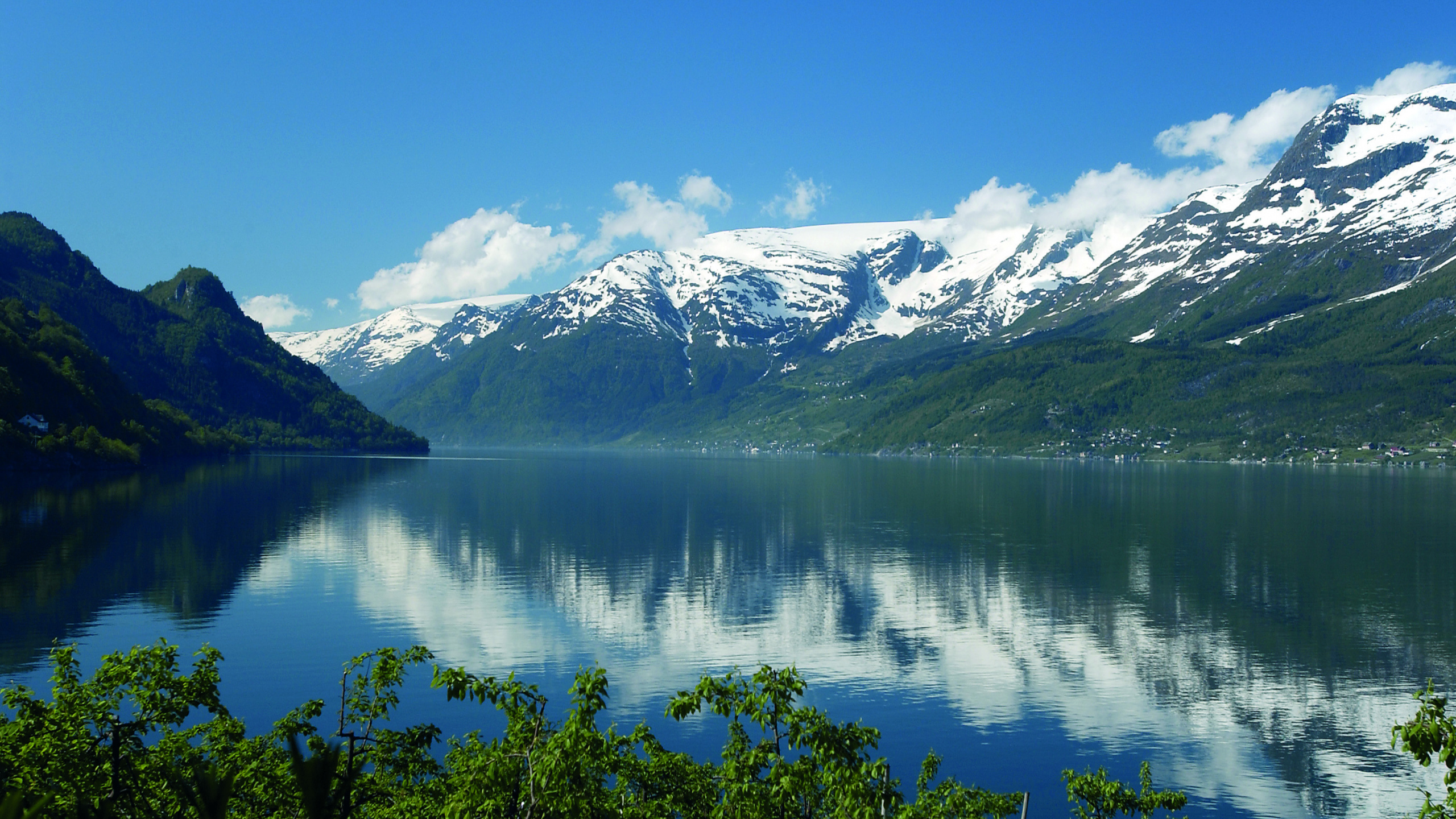 Grüne Bäume in Der Nähe Von See Und Schneebedeckten Bergen Tagsüber. Wallpaper in 2560x1440 Resolution