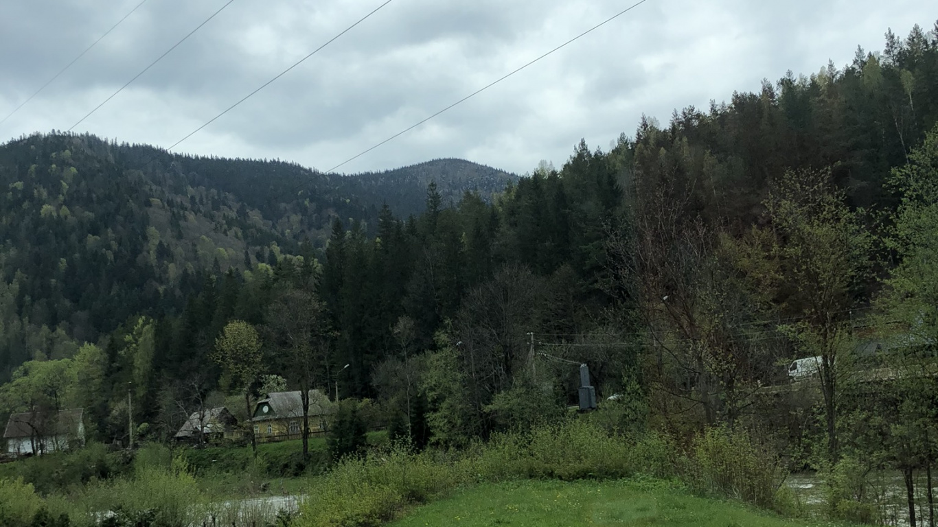 Karpaten, Hochland, Vegetation, Baum, Naturlandschaft. Wallpaper in 1366x768 Resolution