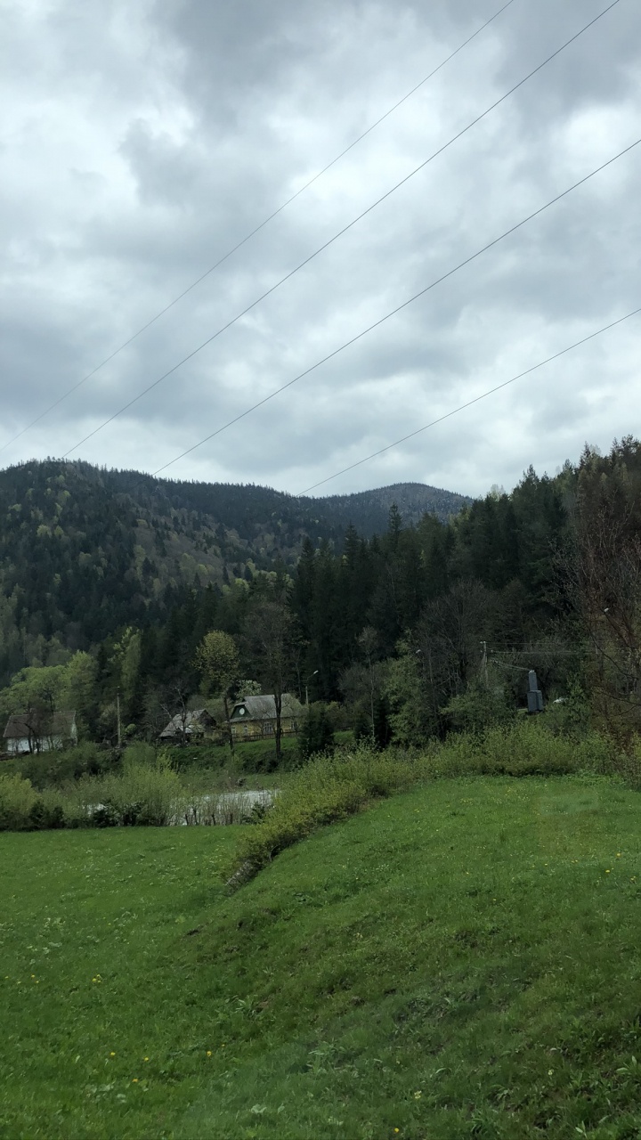 Karpaten, Hochland, Vegetation, Baum, Naturlandschaft. Wallpaper in 720x1280 Resolution