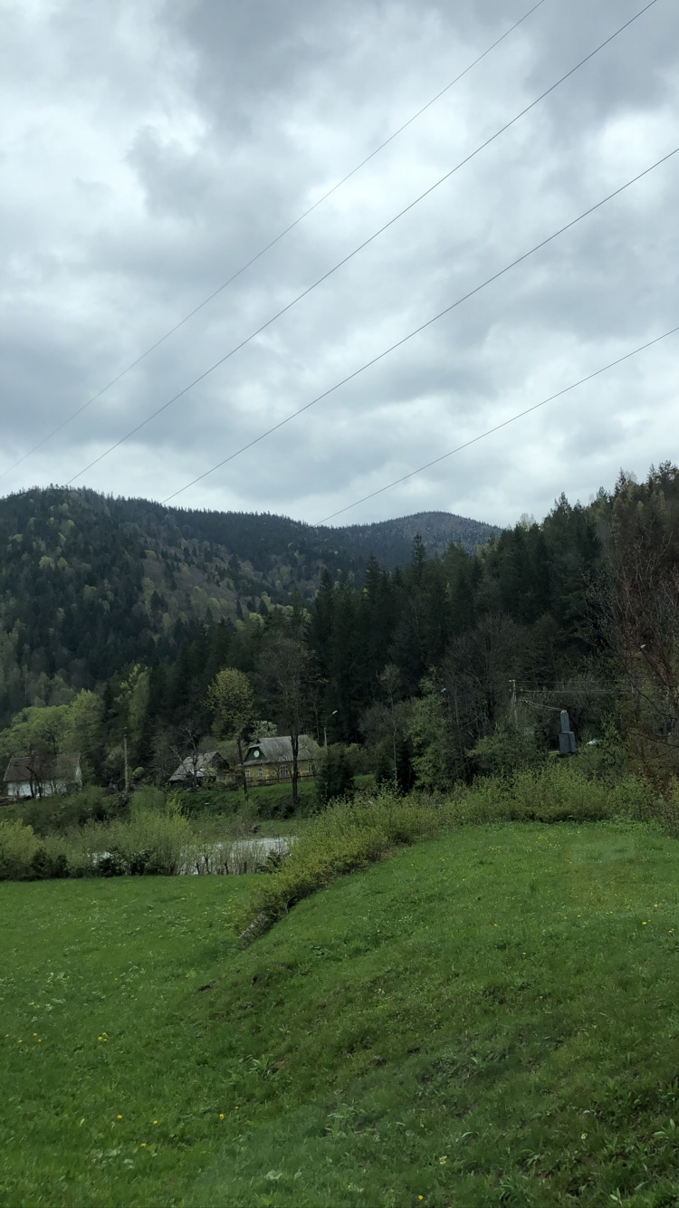 Karpaten, Hochland, Vegetation, Baum, Naturlandschaft. Wallpaper in 750x1334 Resolution