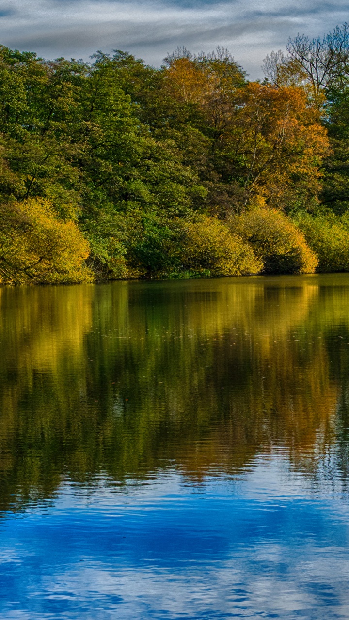 Arbres Verts et Bruns à Côté D'un Plan D'eau Bleu Pendant la Journée. Wallpaper in 720x1280 Resolution