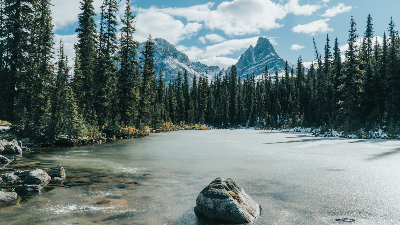Frozen Lake and Forest, Jasper National Park Of Canada, Forest, Lake Louise, Lake. Wallpaper in 1366x768 Resolution