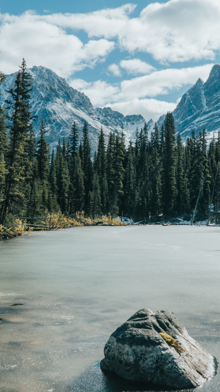 Gefrorener See Und Wald, Jasper National Park Von Kanada, Wald, Lake Louise, See. Wallpaper in 750x1334 Resolution