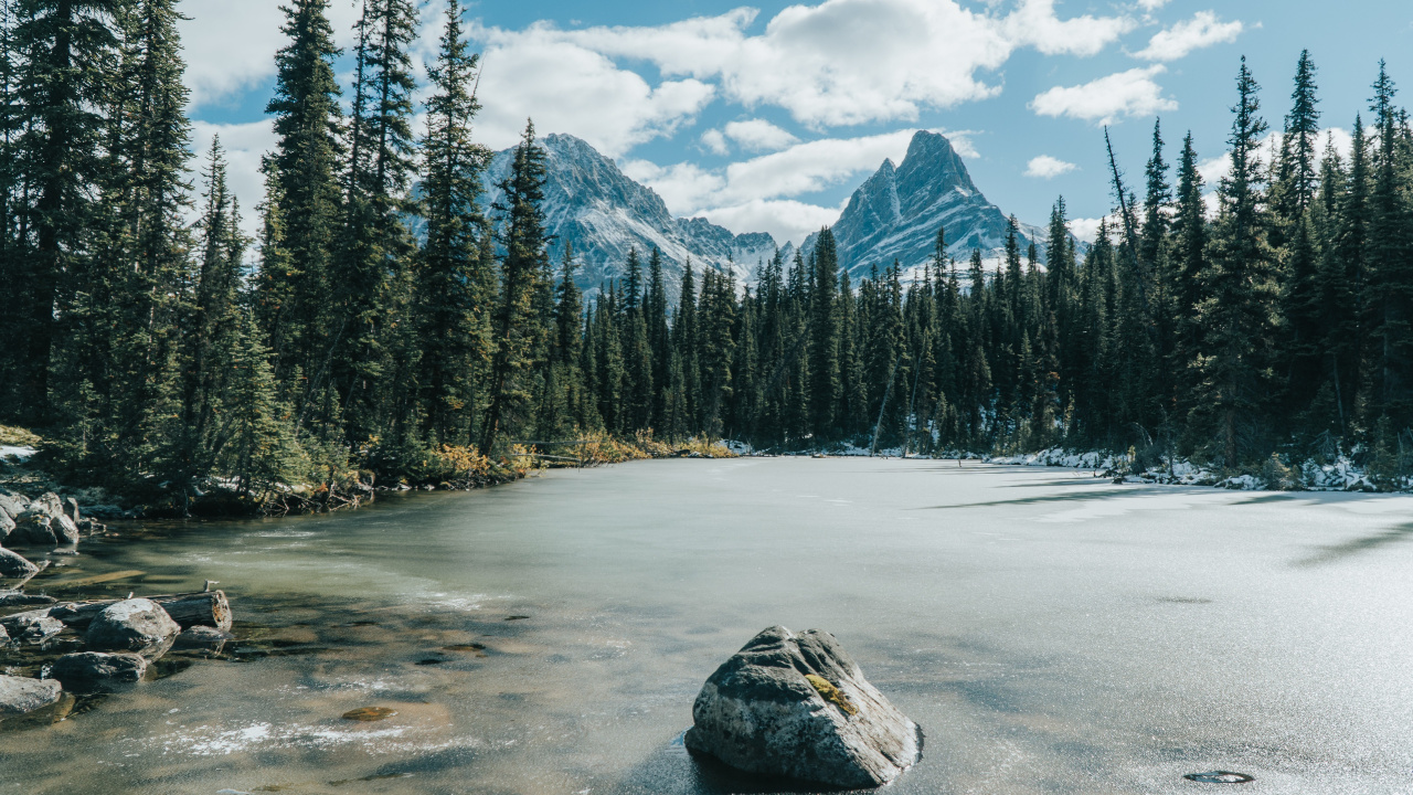Lac Gelé et Forêt, Parc National du Canada Jasper, Forêt, Lake Louise, Lac. Wallpaper in 1280x720 Resolution