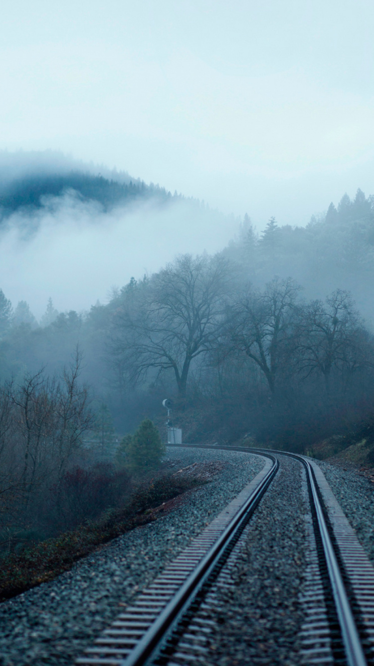 雾, 跟踪, 运输, 气氛, 荒野 壁纸 750x1334 允许