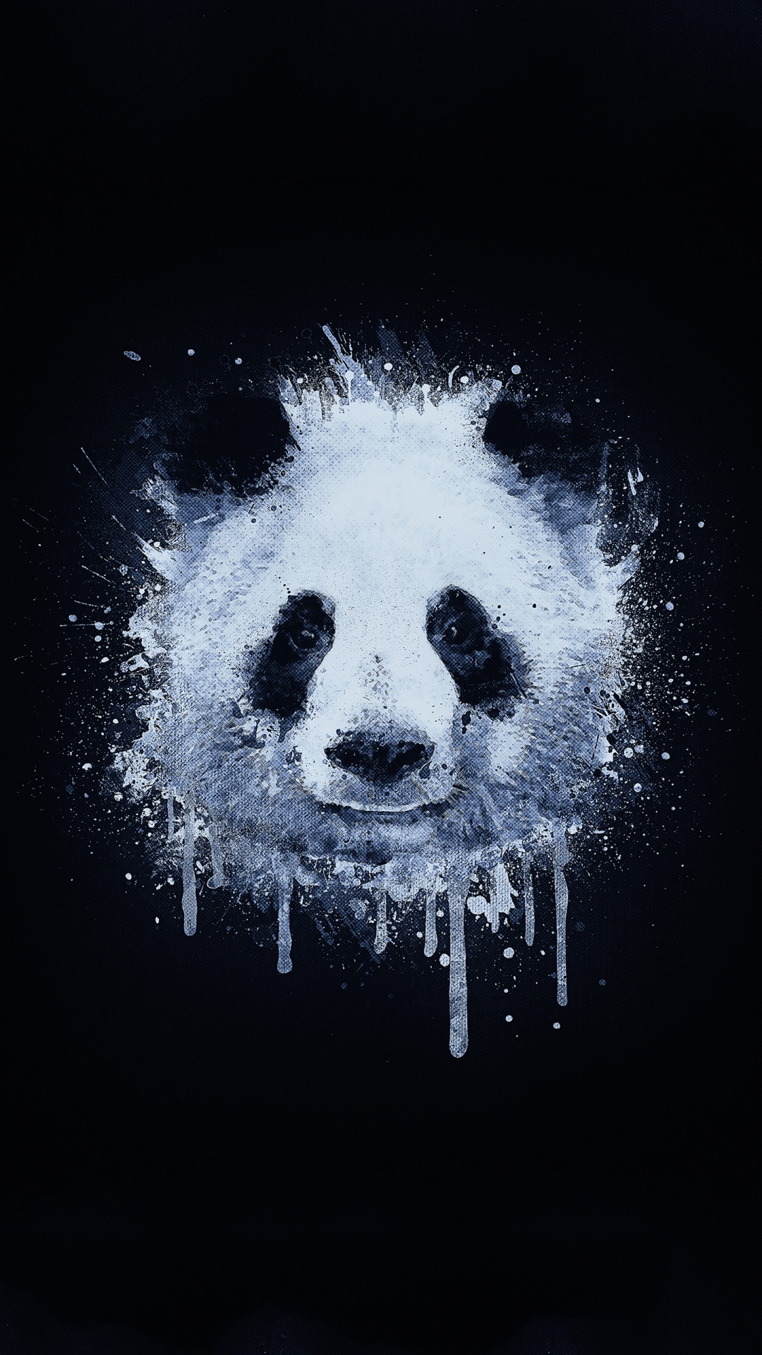 Graffitis de Panda, Graffiti, Art, Portrait, Dessin. Wallpaper in 1080x1920 Resolution