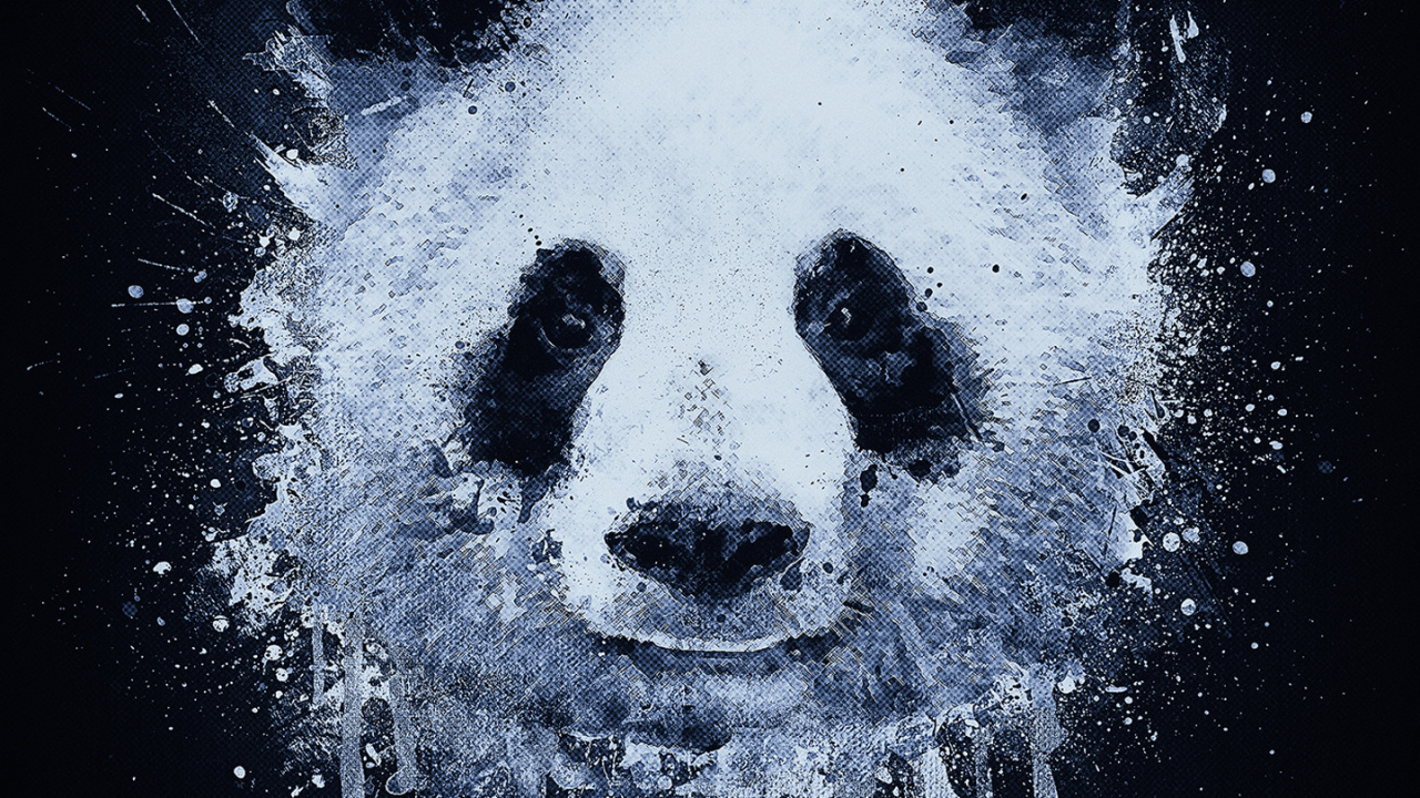 Pandas, Grafiti de Panda, Grafiti, Arte, Retrato. Wallpaper in 1280x720 Resolution