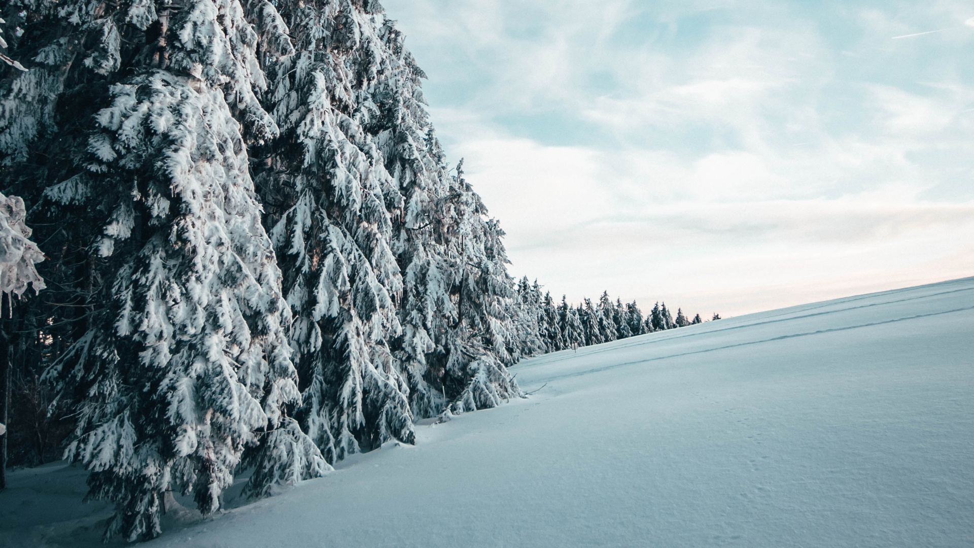 Winter, Snow, Tree, Natural Landscape, Blue. Wallpaper in 1920x1080 Resolution
