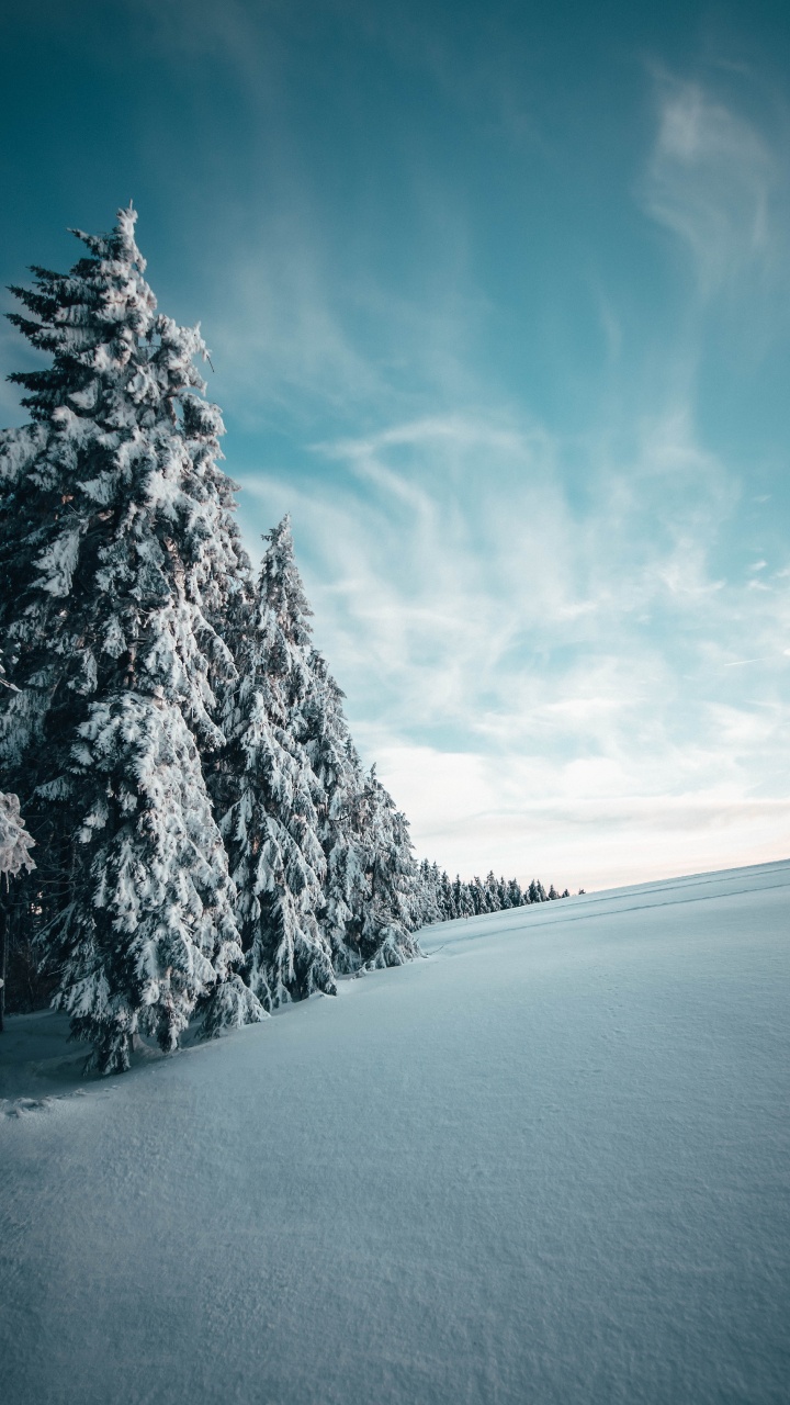 Winter, Snow, Tree, Natural Landscape, Blue. Wallpaper in 720x1280 Resolution