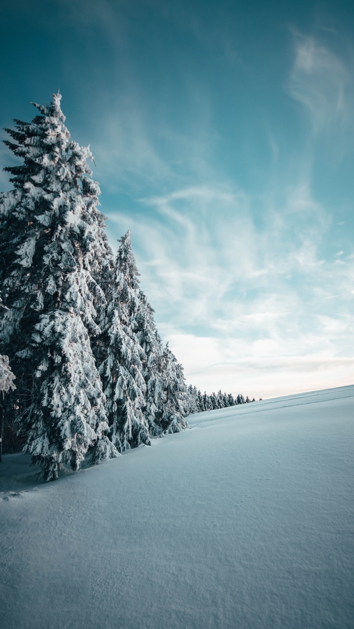 Winter, Schnee, Baum, Naturlandschaft, Blau. Wallpaper in 720x1280 Resolution
