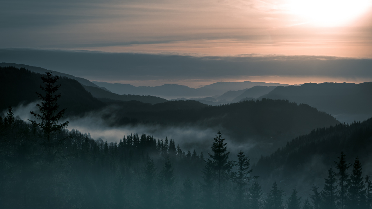 Tagsüber Grüne Pinien Auf Dem Berg. Wallpaper in 1280x720 Resolution