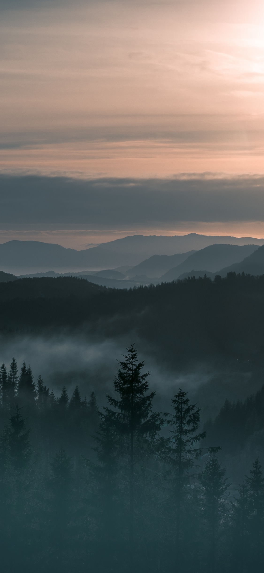 Green Pine Trees on Mountain During Daytime. Wallpaper in 1125x2436 Resolution