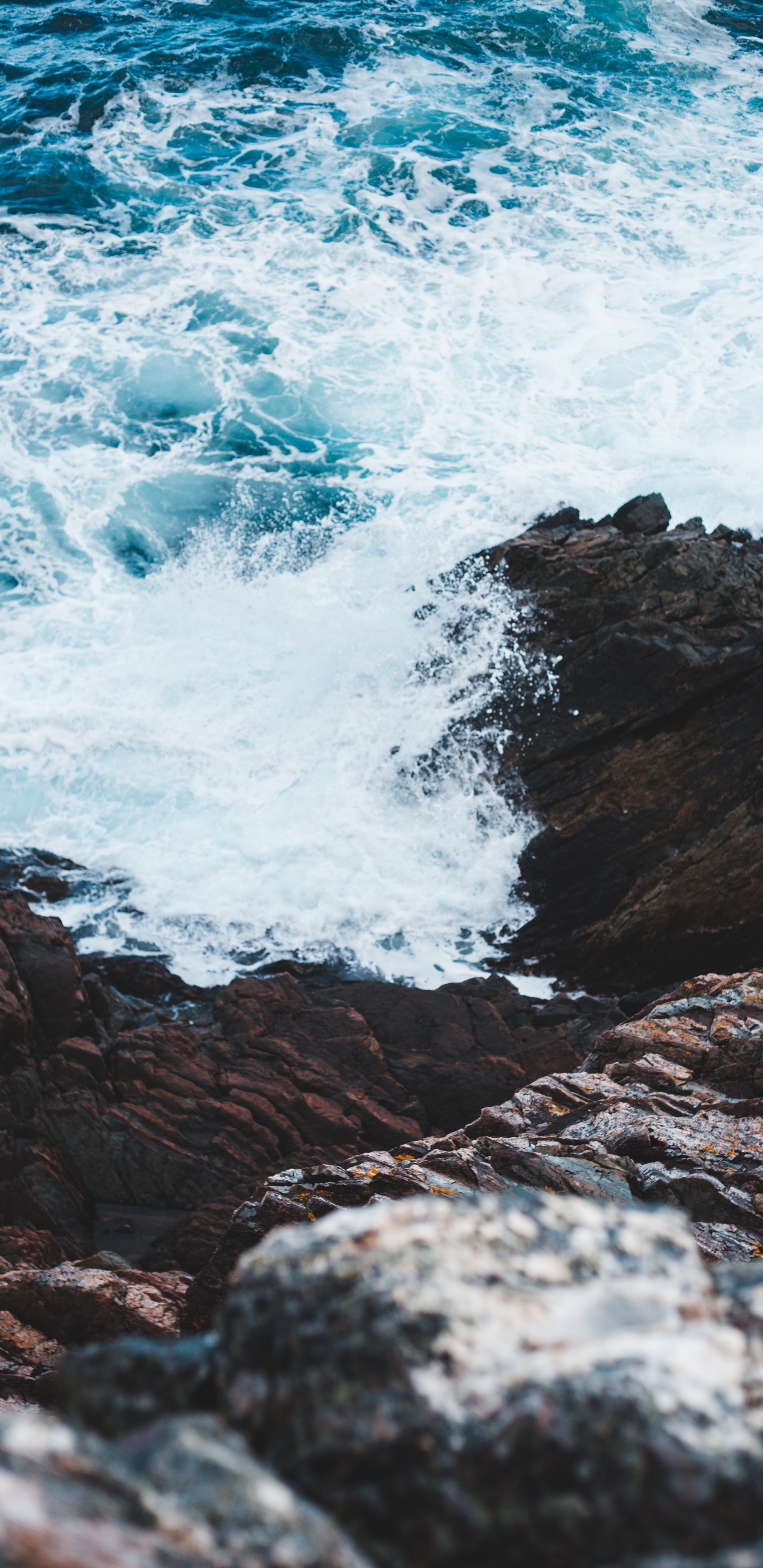 Mar, Agua, Azul, Oceano, el Viento de la Onda. Wallpaper in 1440x2960 Resolution