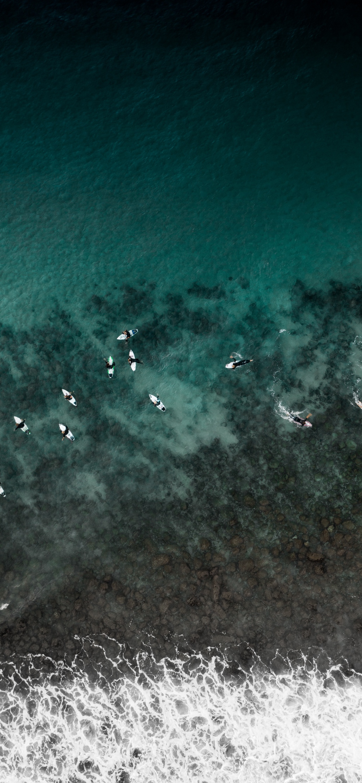 Aerial View of People Swimming on Sea During Daytime. Wallpaper in 1242x2688 Resolution