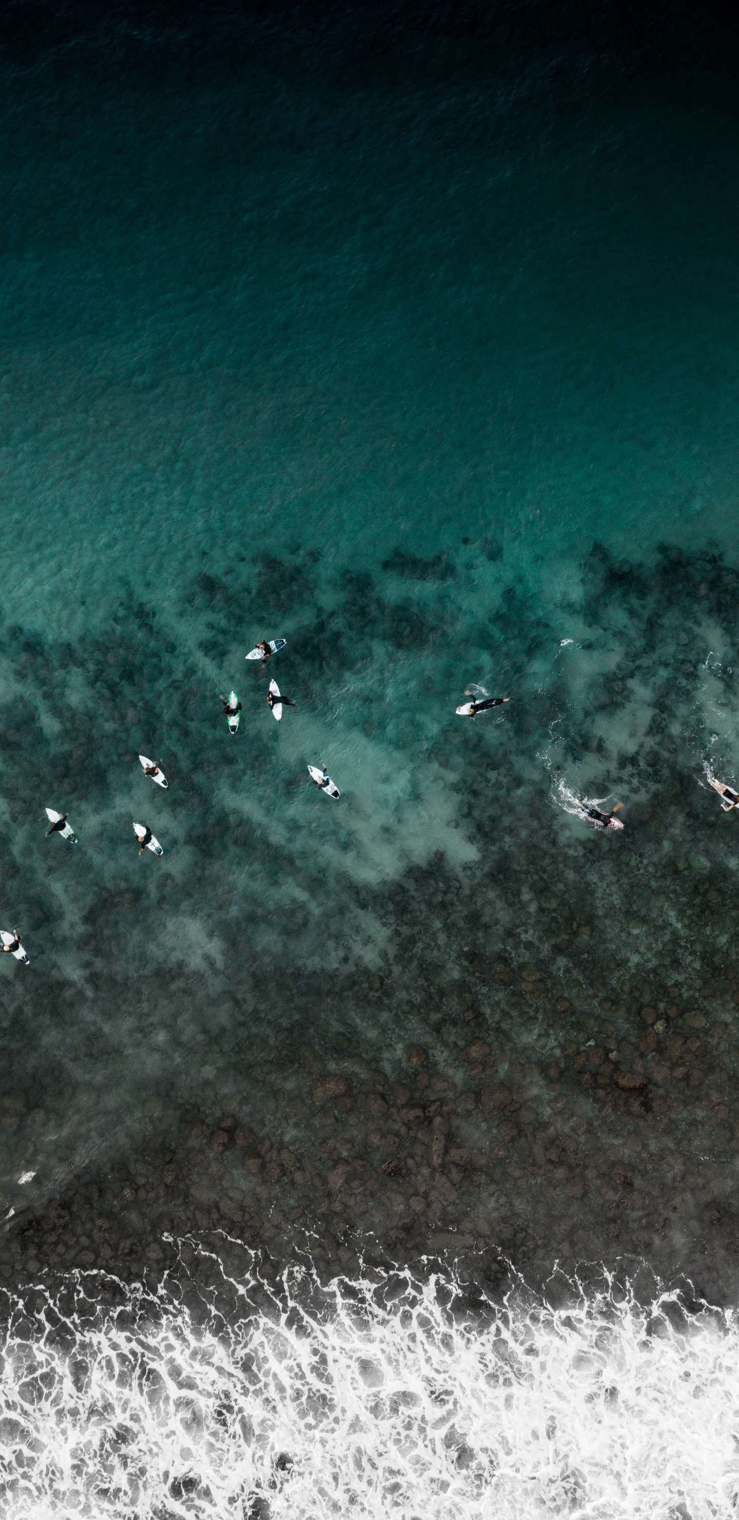 Vue Aérienne de Personnes Nageant Sur la Mer Pendant la Journée. Wallpaper in 1440x2960 Resolution