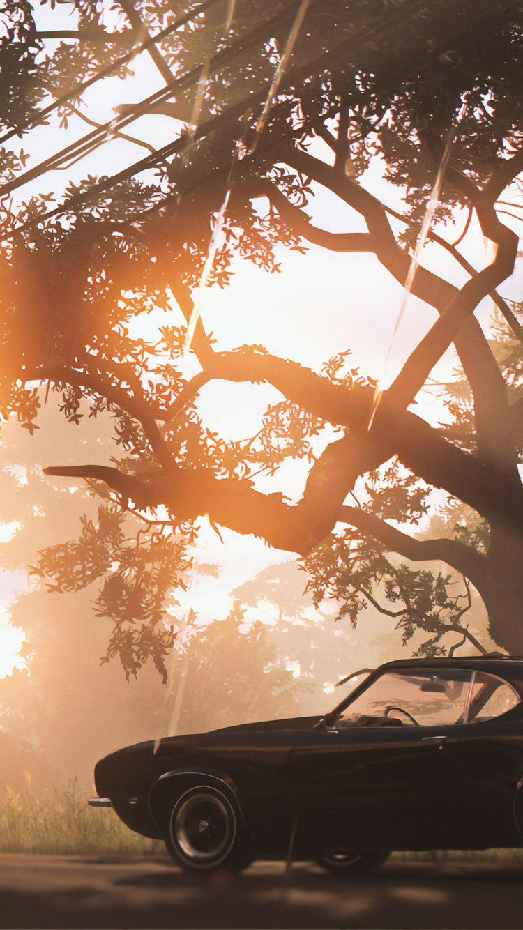 Mafia Iii, Car, Muscle Car, Sunlight, Sedan. Wallpaper in 750x1334 Resolution