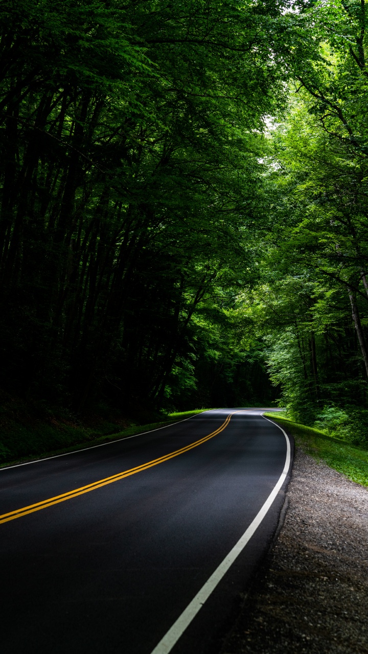 Carretera, Verde, Naturaleza, Paisaje Natural, Entorno Natural. Wallpaper in 720x1280 Resolution