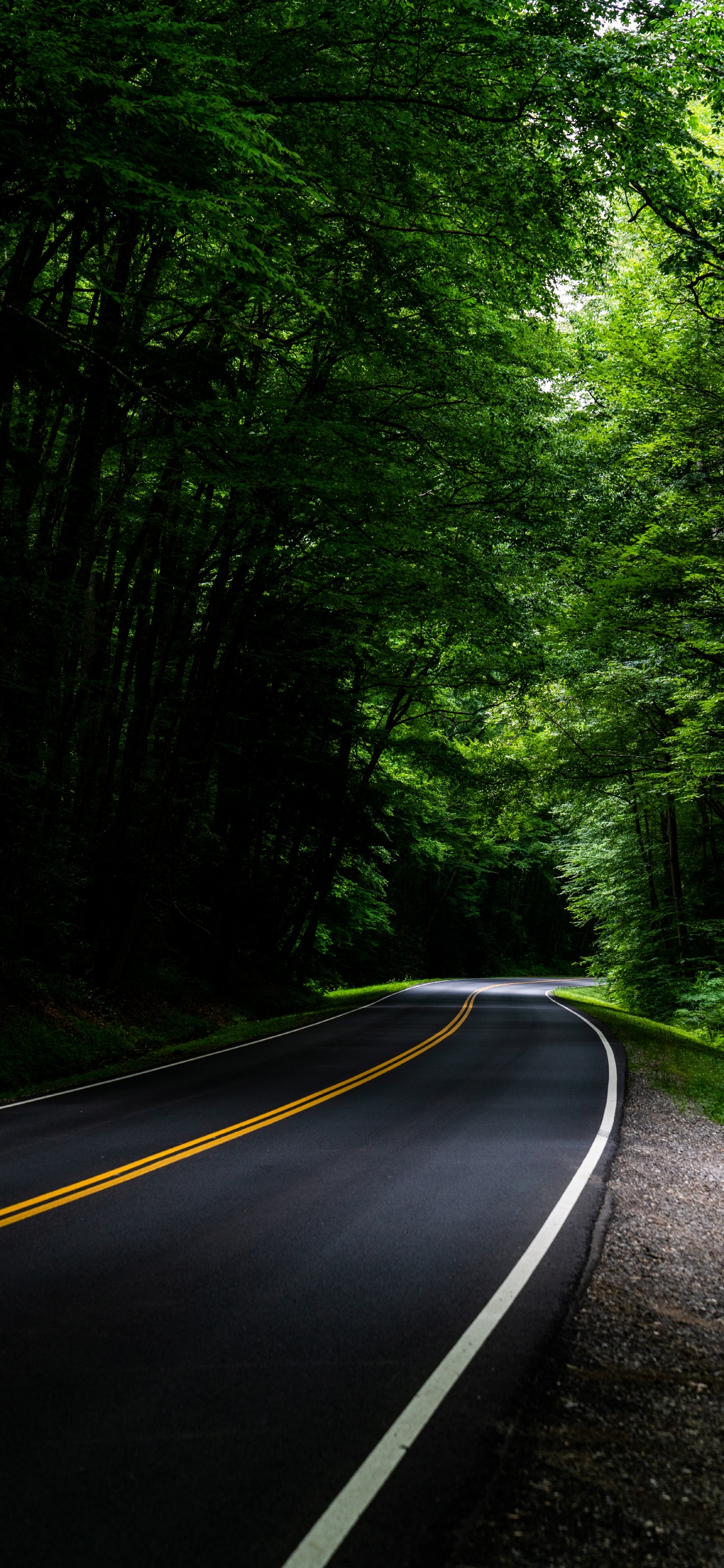 Road, Gr, Natur, Naturlandschaft, Baum. Wallpaper in 1125x2436 Resolution