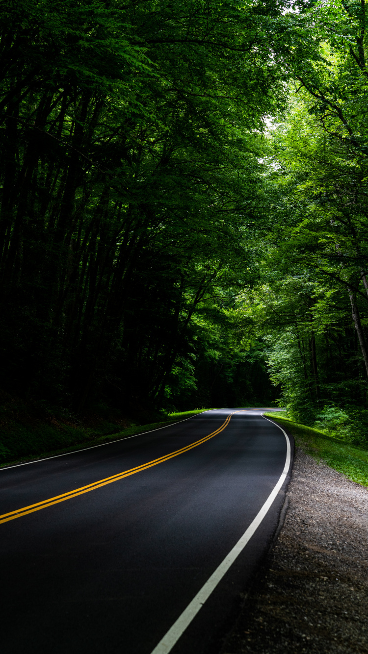 Road, Gr, Natur, Naturlandschaft, Baum. Wallpaper in 750x1334 Resolution