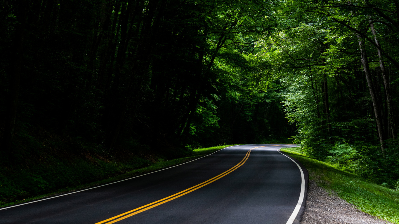 Road, Green, Nature, Natural Landscape, Tree. Wallpaper in 1366x768 Resolution