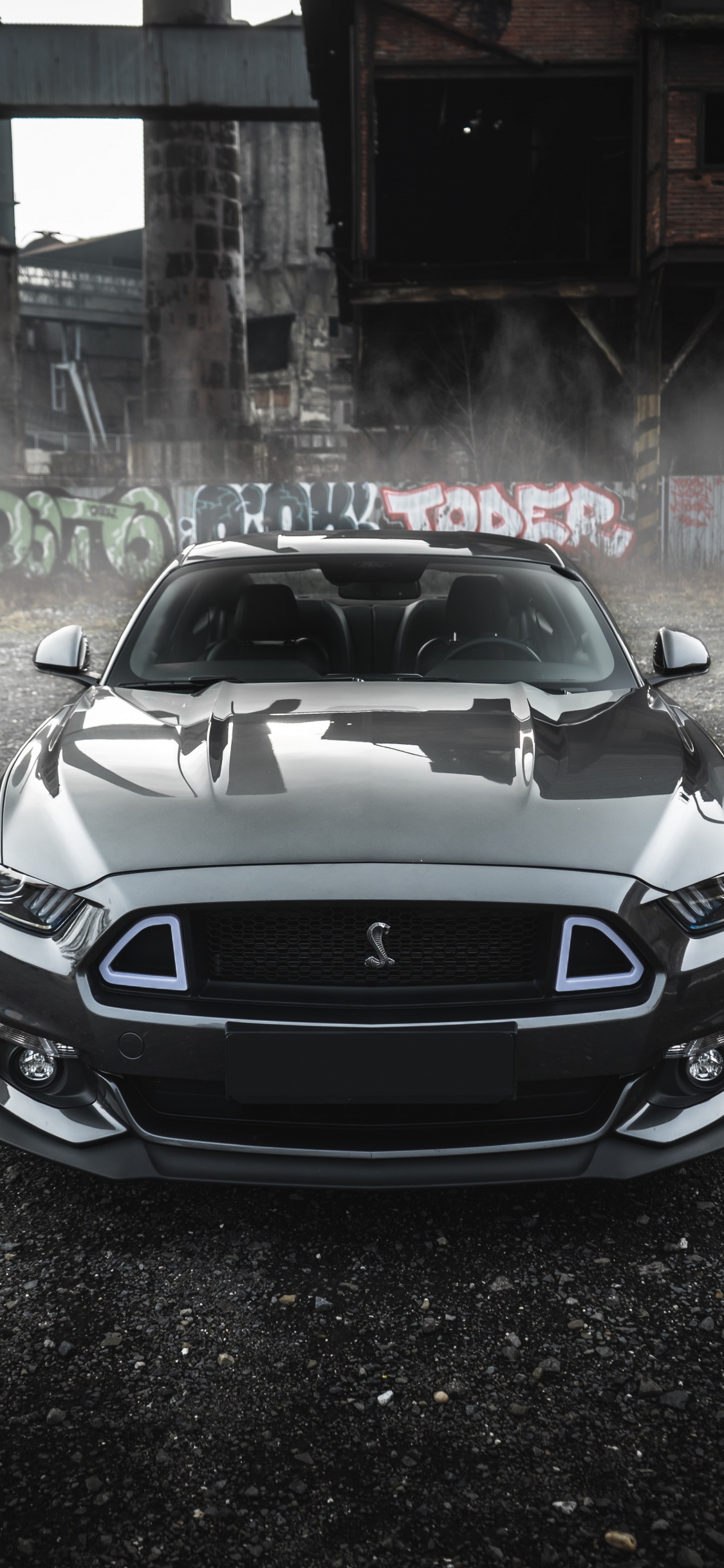 Mustang, Ford, Triticum, Spotify, Album. Wallpaper in 1125x2436 Resolution