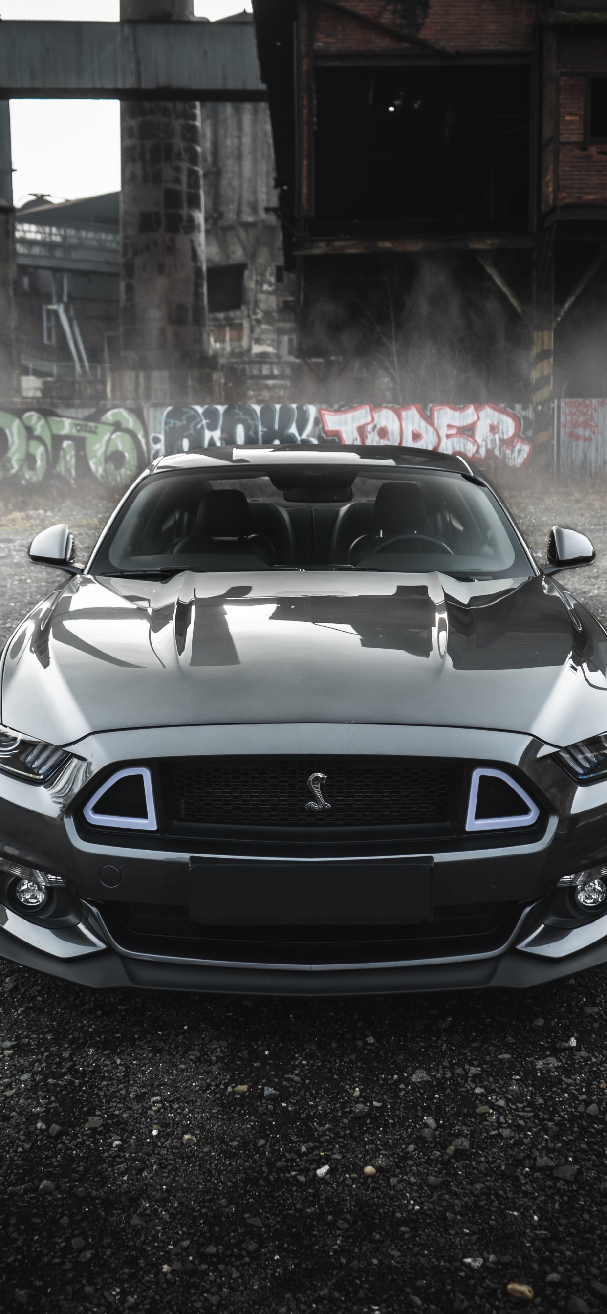 Mustang, Ford, Triticum, Spotify, Album. Wallpaper in 1242x2688 Resolution
