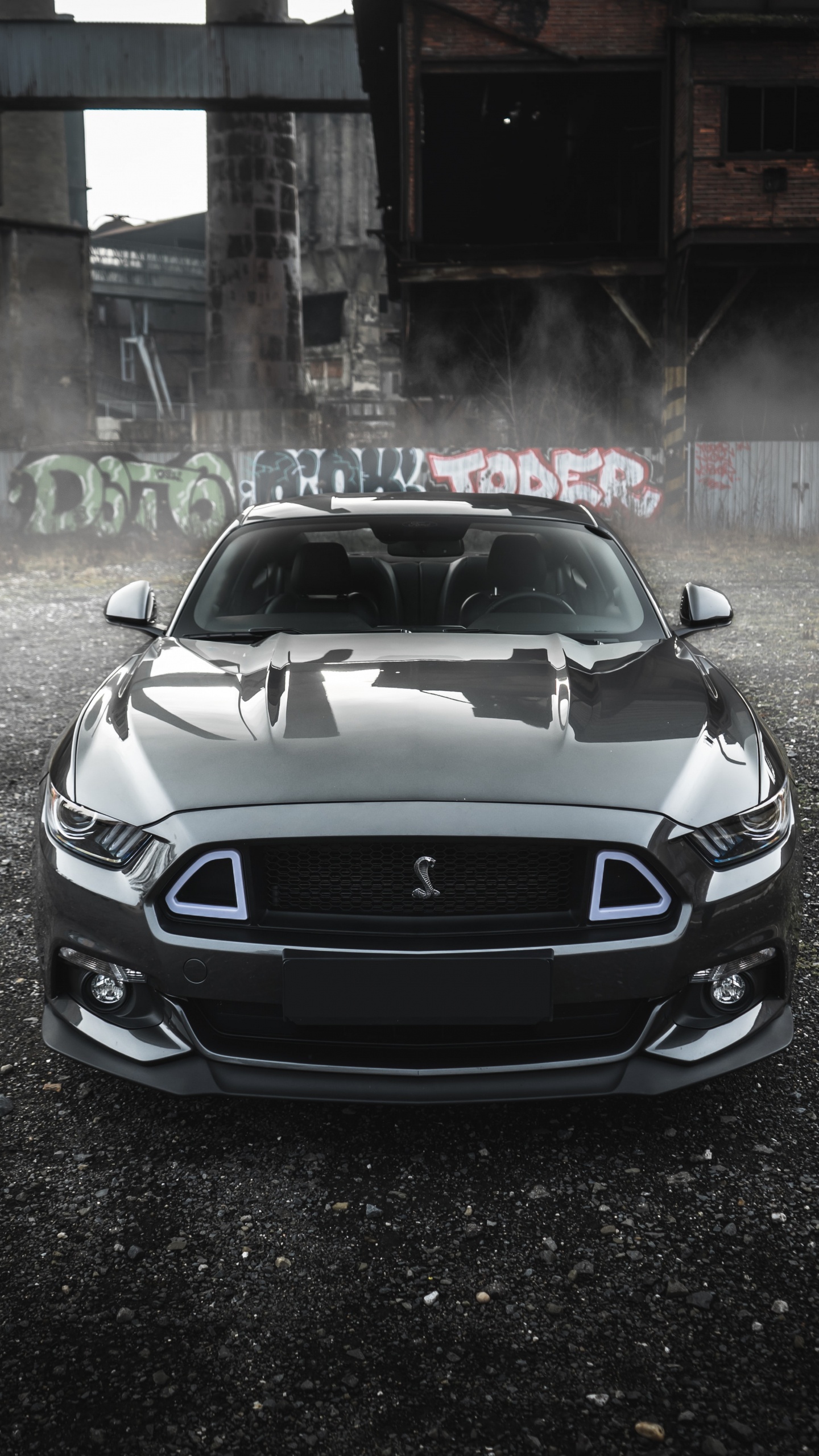 Mustang, Ford, Triticum, Spotify, Album. Wallpaper in 1440x2560 Resolution