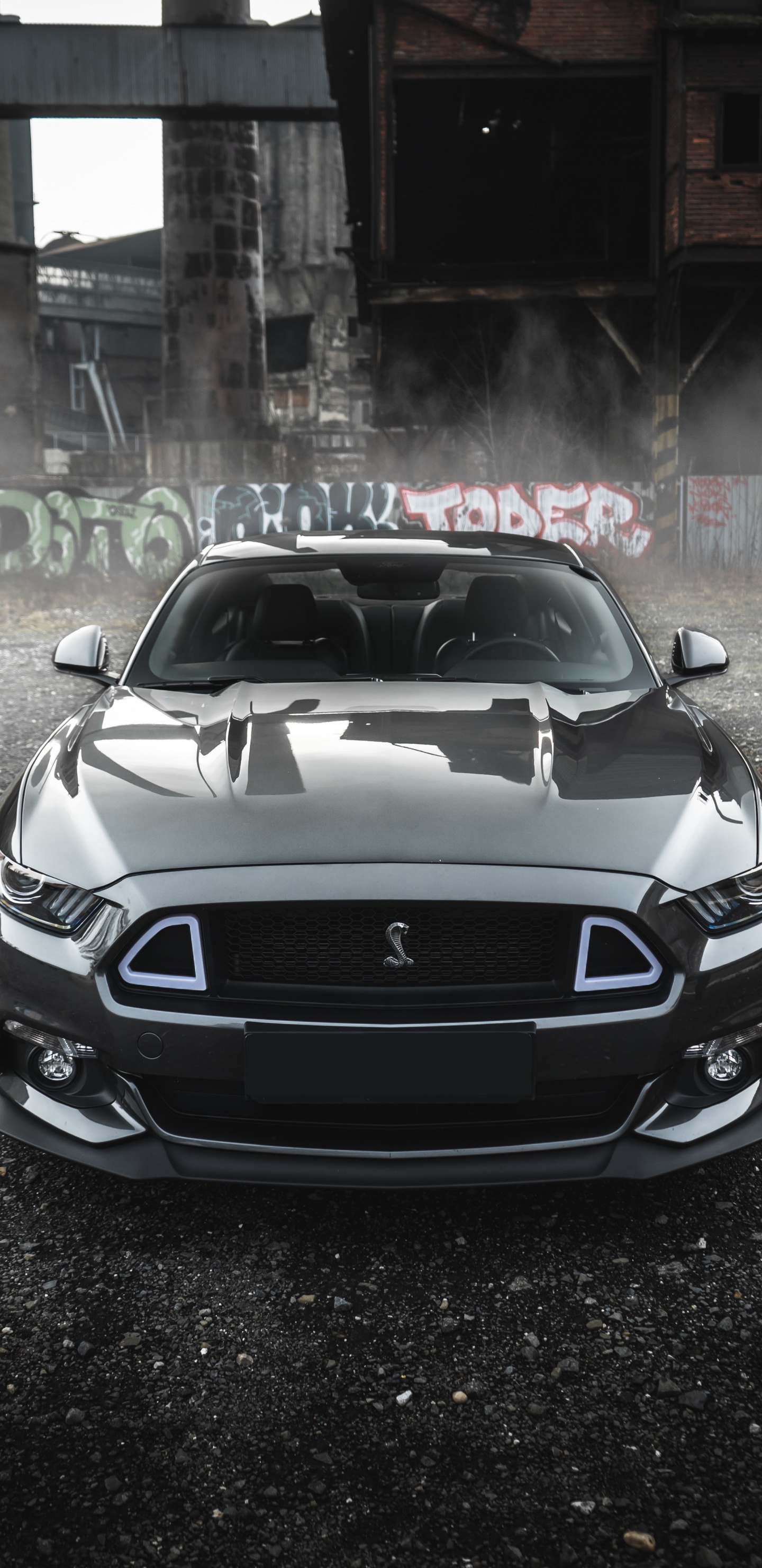 Mustang, Ford, Triticum, Spotify, Album. Wallpaper in 1440x2960 Resolution
