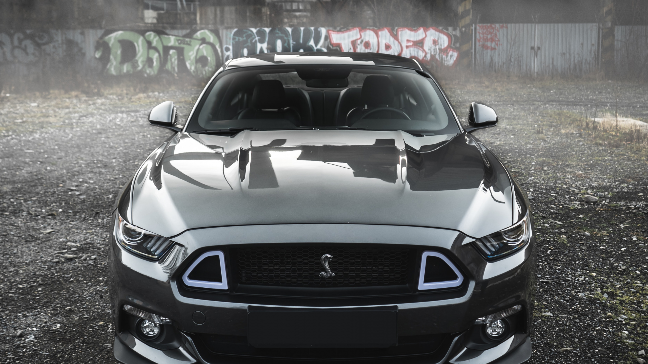 Mustang, Ford, Triticum, Spotify, Album. Wallpaper in 2560x1440 Resolution
