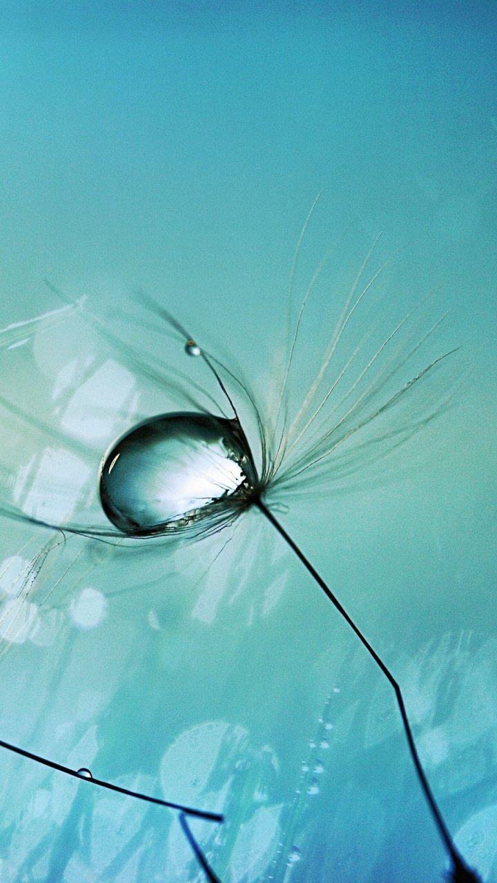 Water Dew on Black Framed Sunglasses. Wallpaper in 720x1280 Resolution