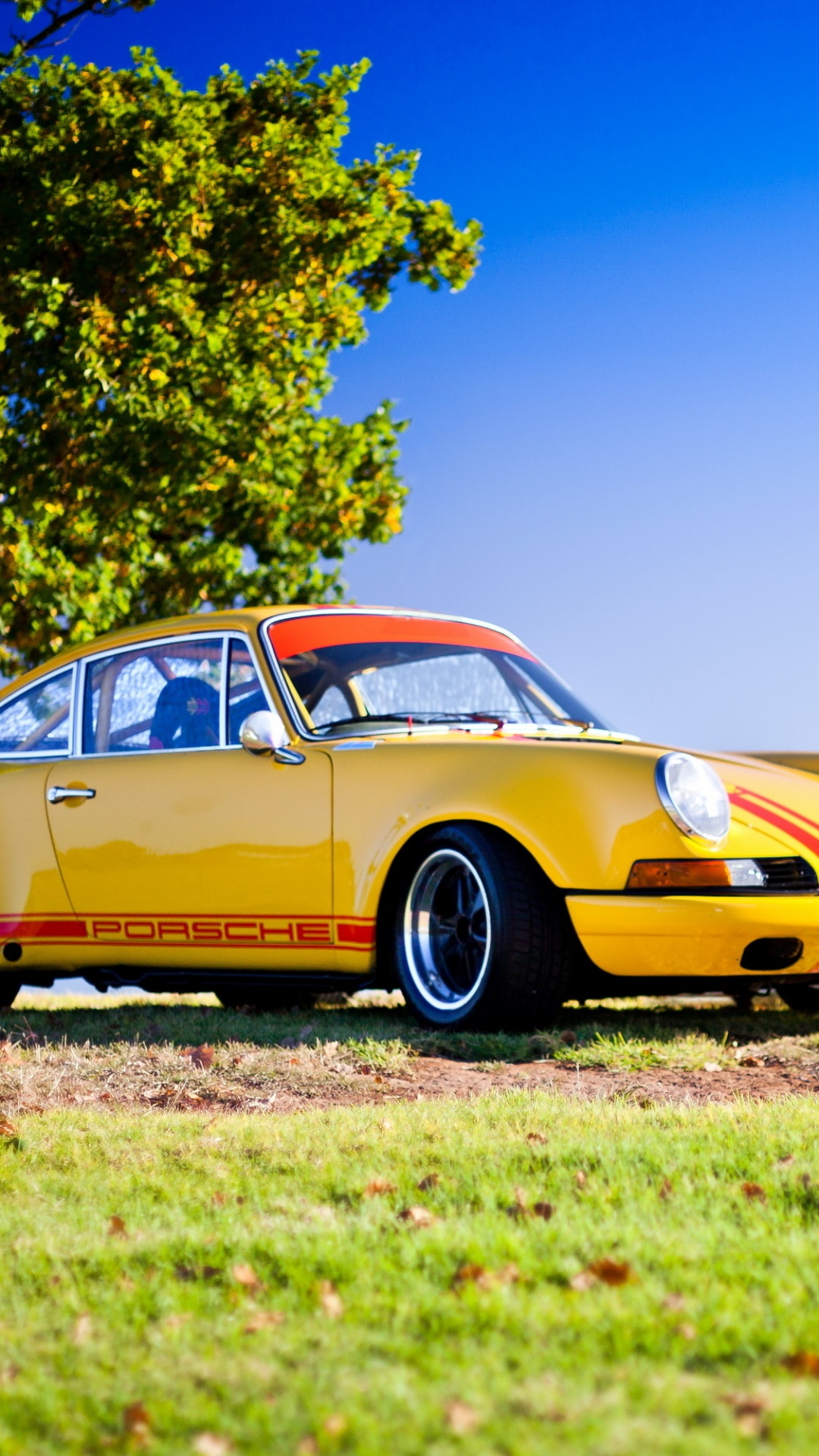 Yellow Coupe on Green Grass Field During Daytime. Wallpaper in 1080x1920 Resolution