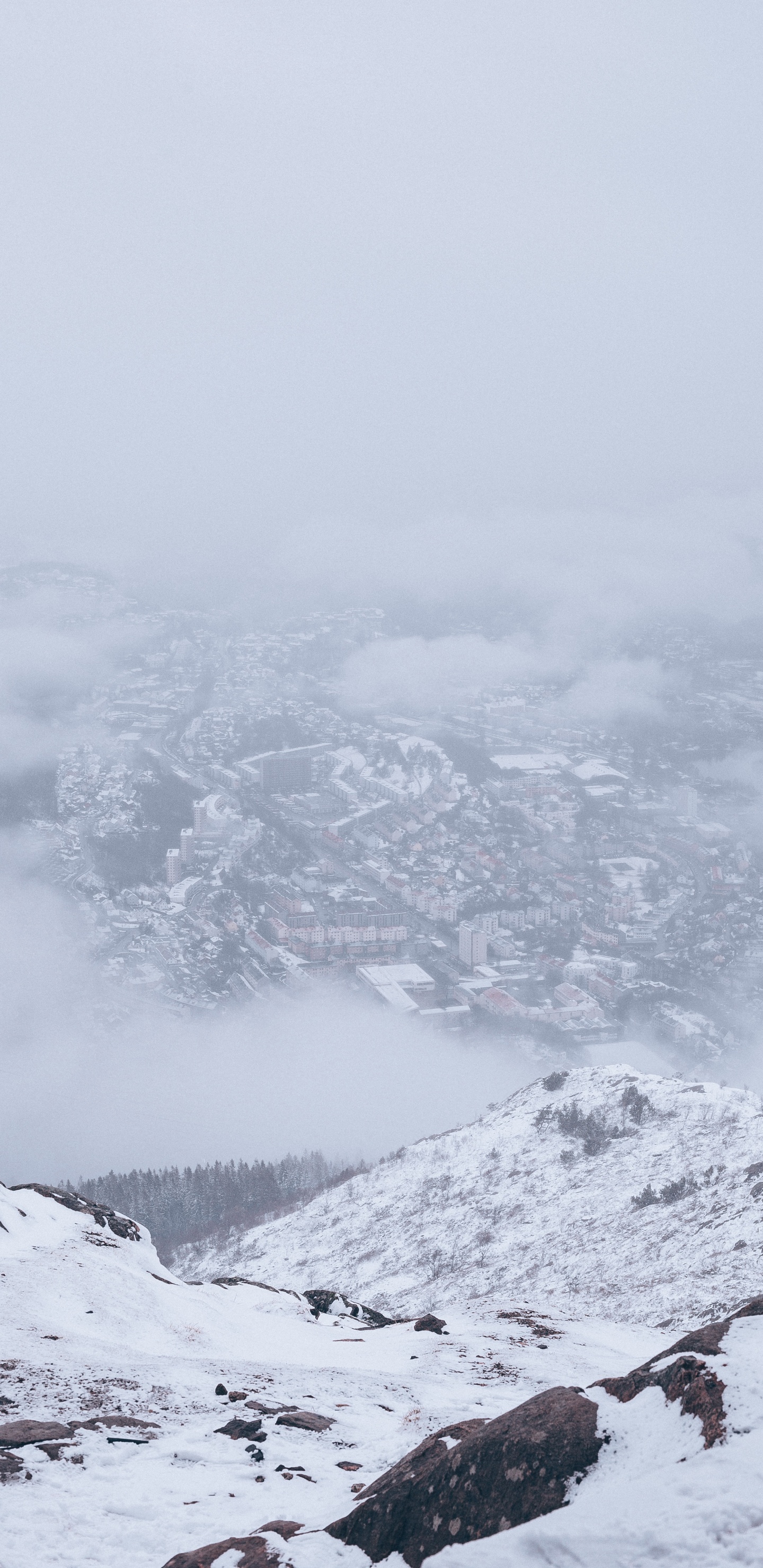 Einfrieren, Schnee, Bergigen Landschaftsformen, Fiel, Winter. Wallpaper in 1440x2960 Resolution