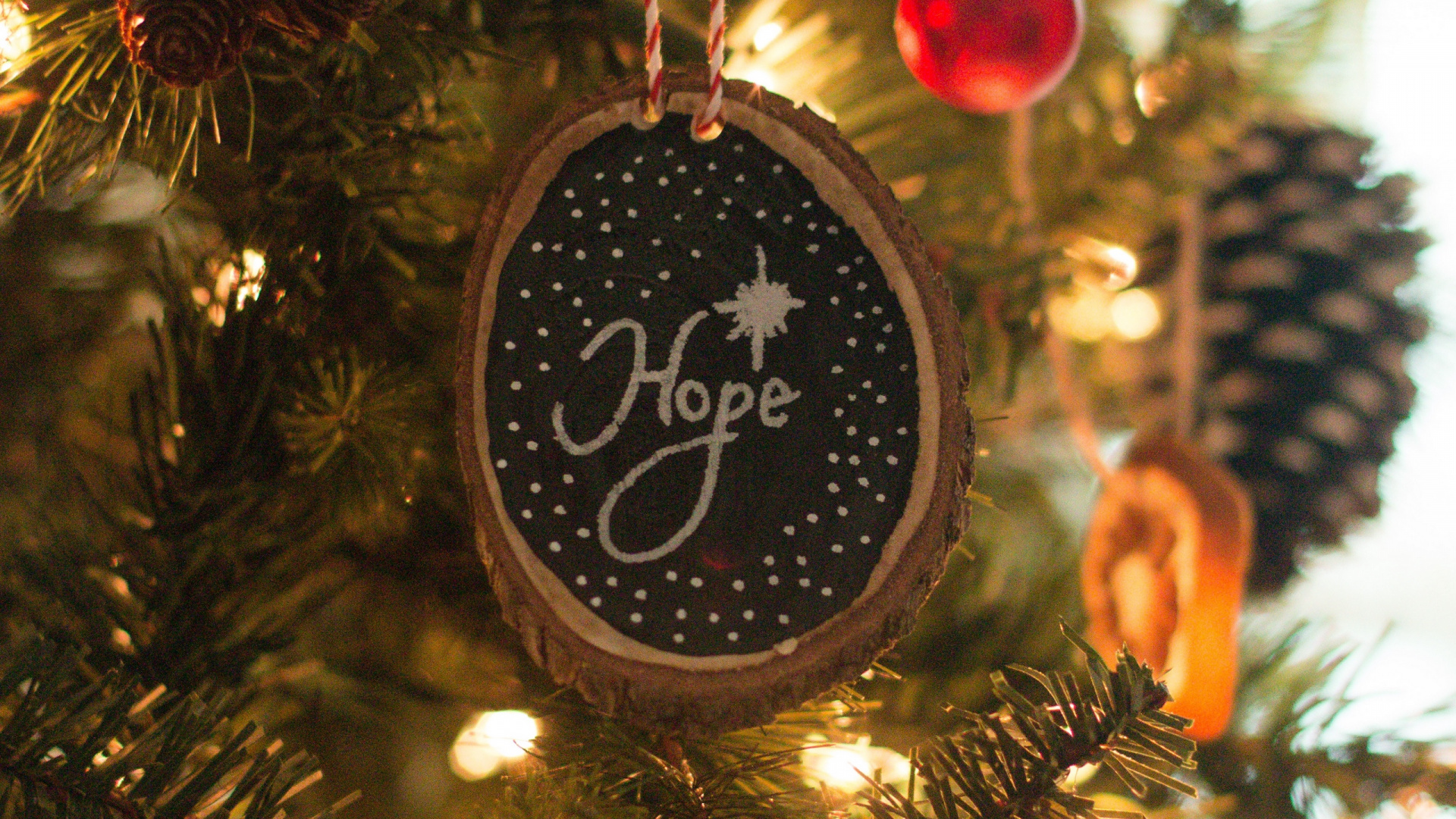 New Year, Christmas Ornament, Christmas, Christmas Decoration, Tree. Wallpaper in 1920x1080 Resolution