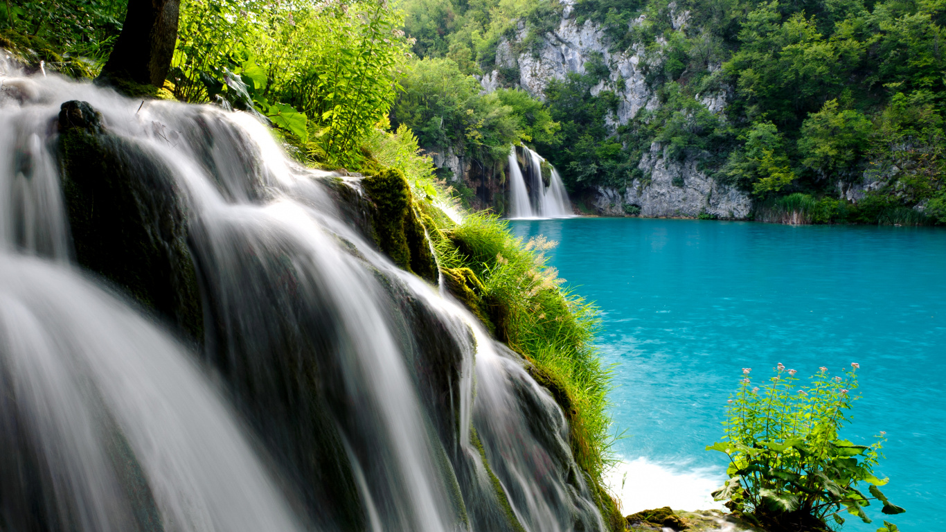 Cascades Près Des Arbres Verts Pendant la Journée. Wallpaper in 1366x768 Resolution
