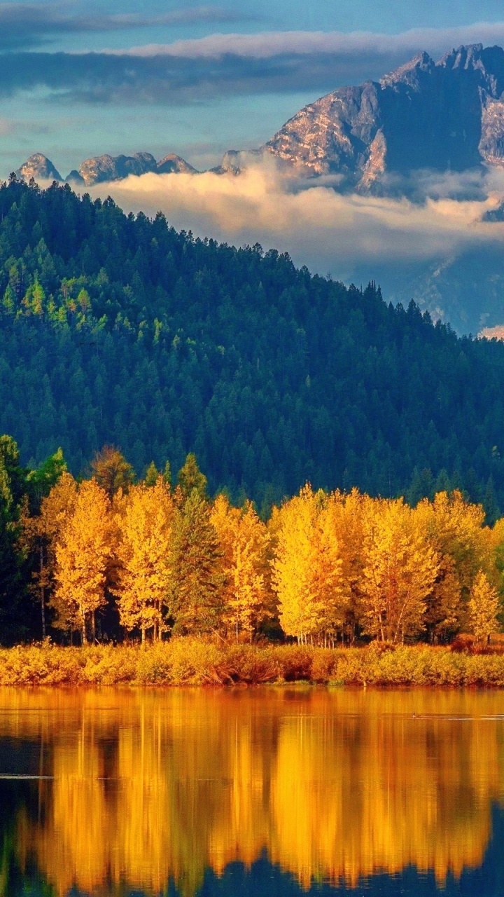 Green and Brown Trees Near Lake Under White Clouds and Blue Sky During Daytime. Wallpaper in 720x1280 Resolution