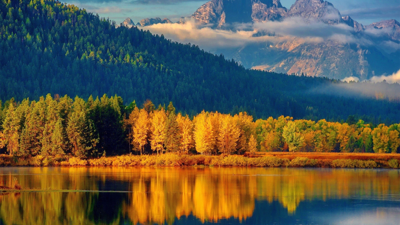 Arbres Verts et Bruns Près du Lac Sous Des Nuages Blancs et un Ciel Bleu Pendant la Journée. Wallpaper in 1366x768 Resolution