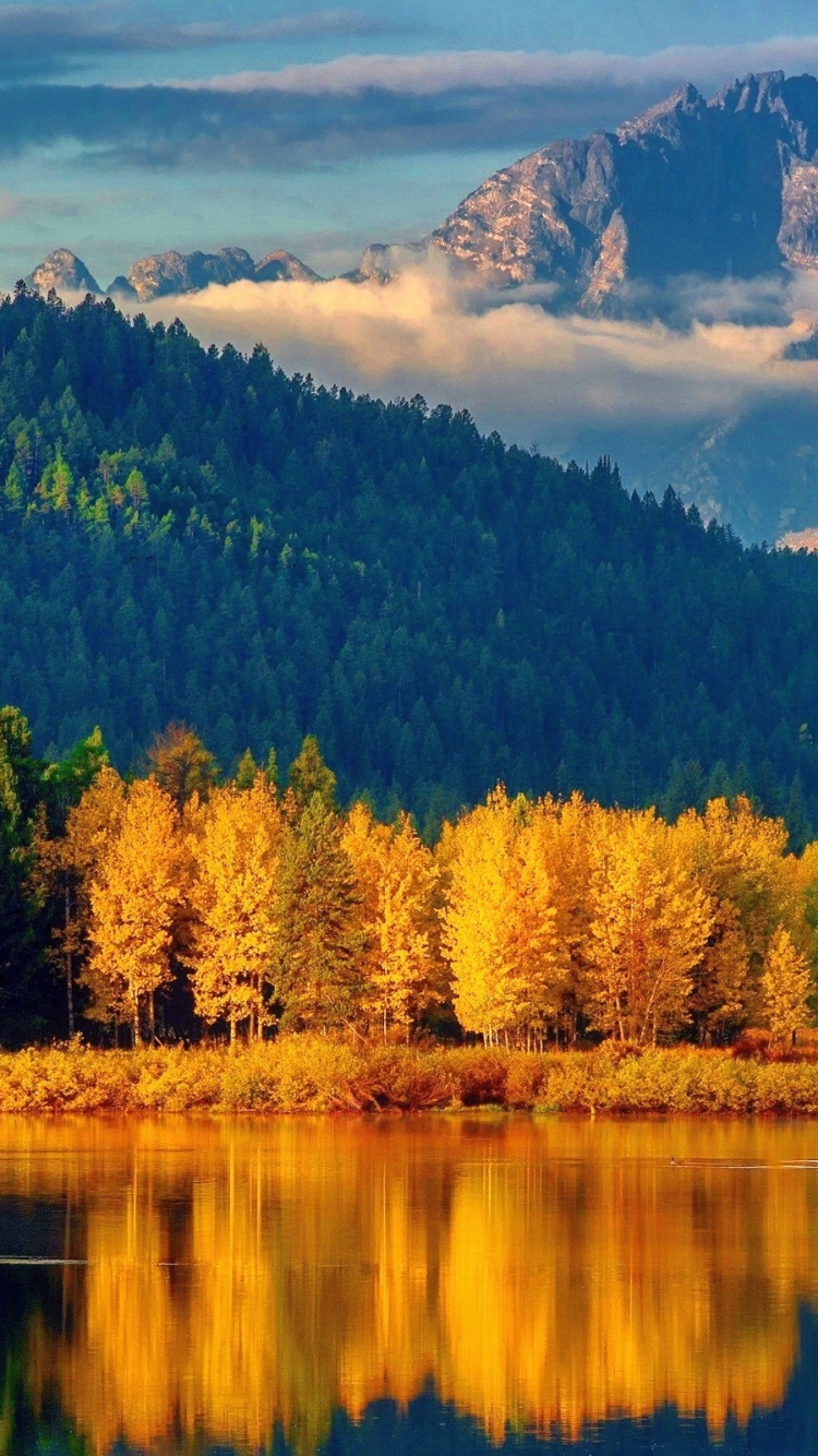 Arbres Verts et Bruns Près du Lac Sous Des Nuages Blancs et un Ciel Bleu Pendant la Journée. Wallpaper in 750x1334 Resolution