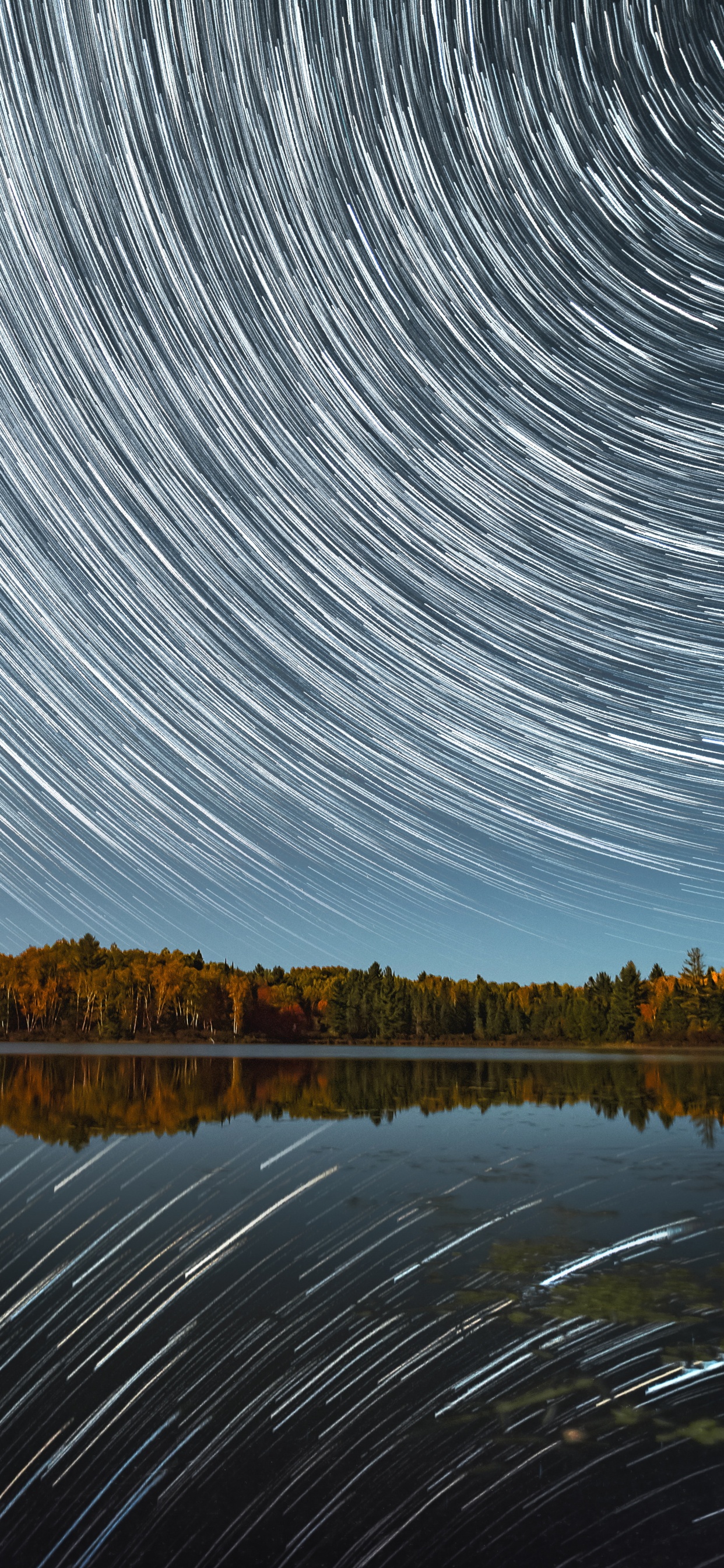 Ligne, Nuit, Nature, Réflexion, Paysage Naturel. Wallpaper in 1242x2688 Resolution