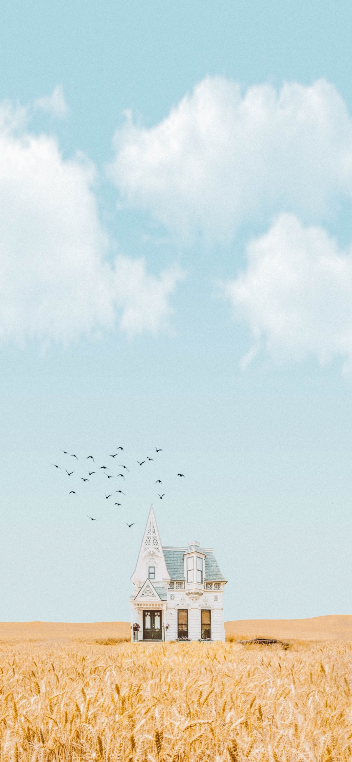 Niall Horan Lyrics, Lyrics, Song, Tune, Cloud. Wallpaper in 1125x2436 Resolution