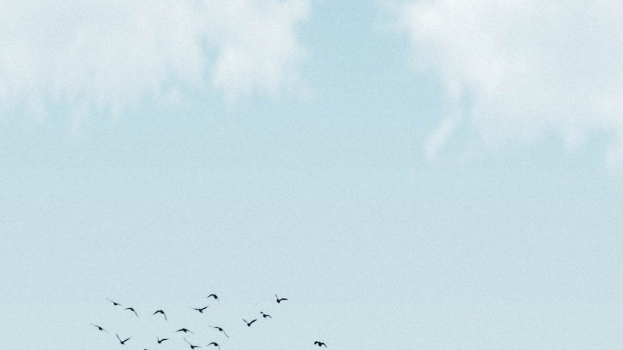 Niall Horan Lyrics, Lyrics, Song, Tune, Cloud. Wallpaper in 1280x720 Resolution