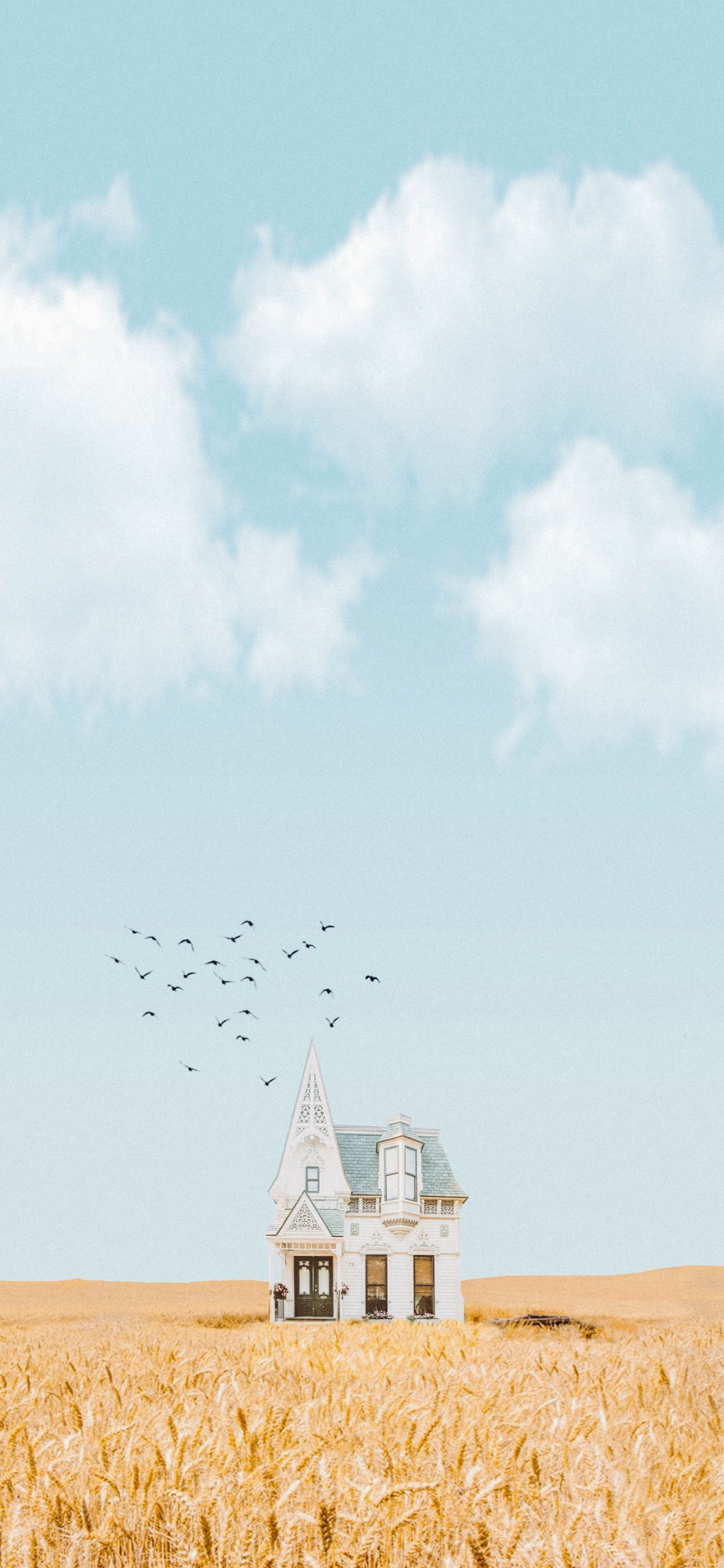 Paroles de Niall Horan, Paroles, Chanson, Tune, Oiseau. Wallpaper in 1242x2688 Resolution