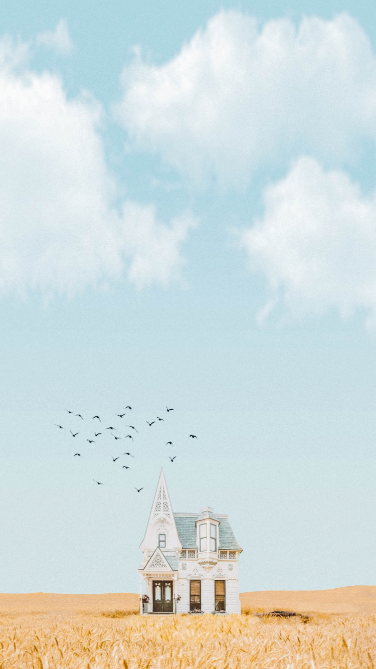 Songtexte Von Niall Horan, Cloud, Vogel, Gebäude, Fenster. Wallpaper in 750x1334 Resolution